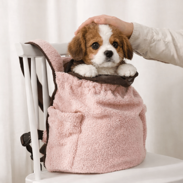 ChatGPT Image 18 janv. 2026, 18_41_19