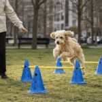 ChatGPT Image 18 janv. 2026, 18_53_59