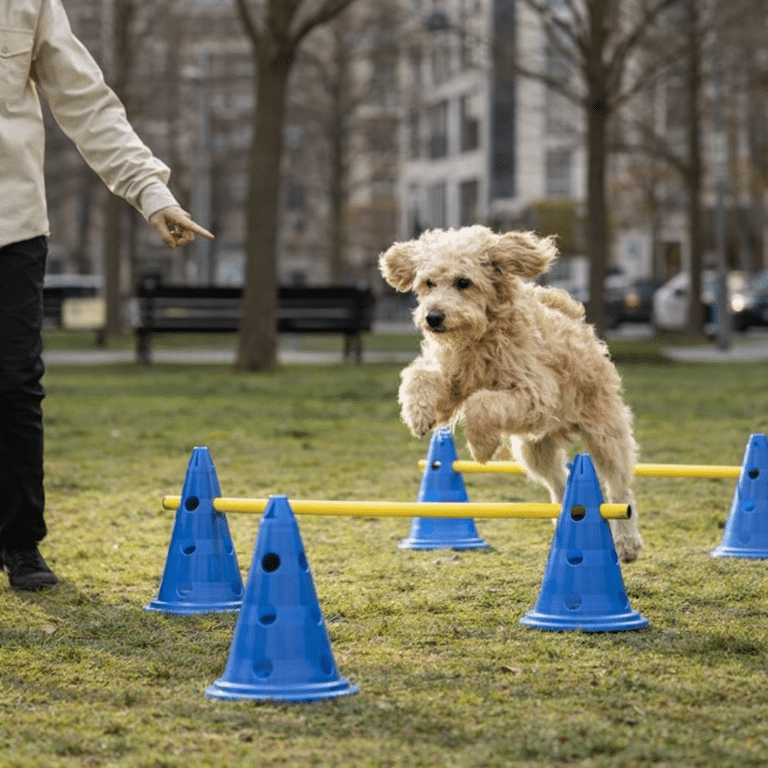 ChatGPT Image 18 janv. 2026, 18_53_59