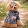 Veste en jean vintage pour petit chien