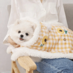 ChatGPT Image 6 janv. 2026, 20_27_39