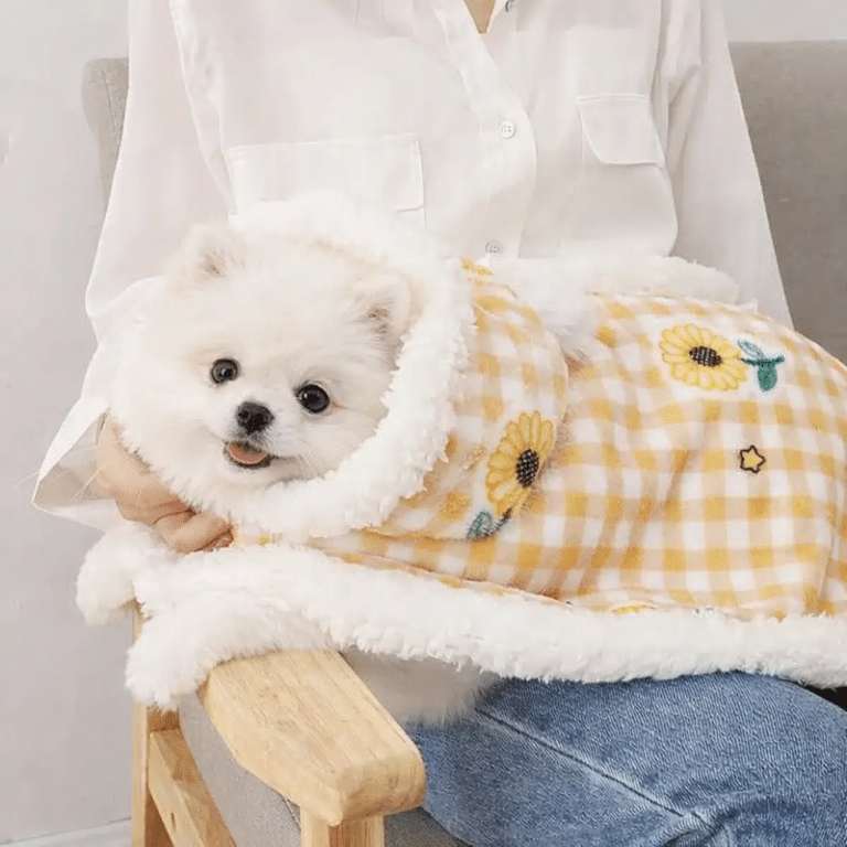 ChatGPT Image 6 janv. 2026, 20_27_39