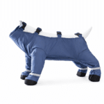 ChatGPT Image 8 janv. 2026, 19_42_01