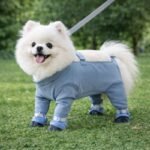 ChatGPT Image 9 janv. 2026, 14_41_00