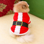 ChatGPT Image 9 janv. 2026, 19_59_12