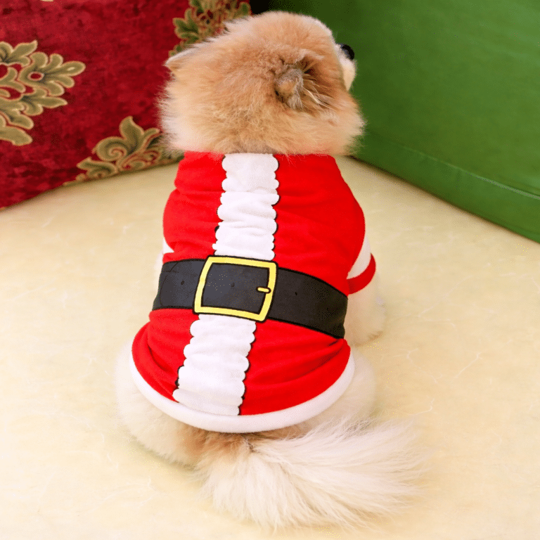 ChatGPT Image 9 janv. 2026, 19_59_12