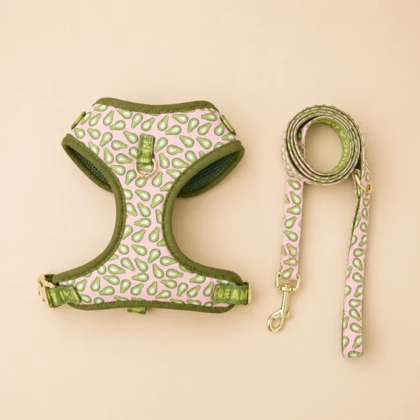 Harnais avocat pour chien