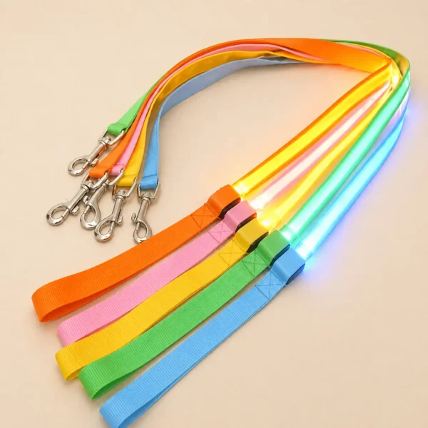 Laisse lumineuse LED pour chien