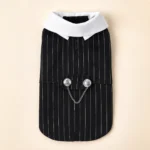 Tenue de Mariage chien