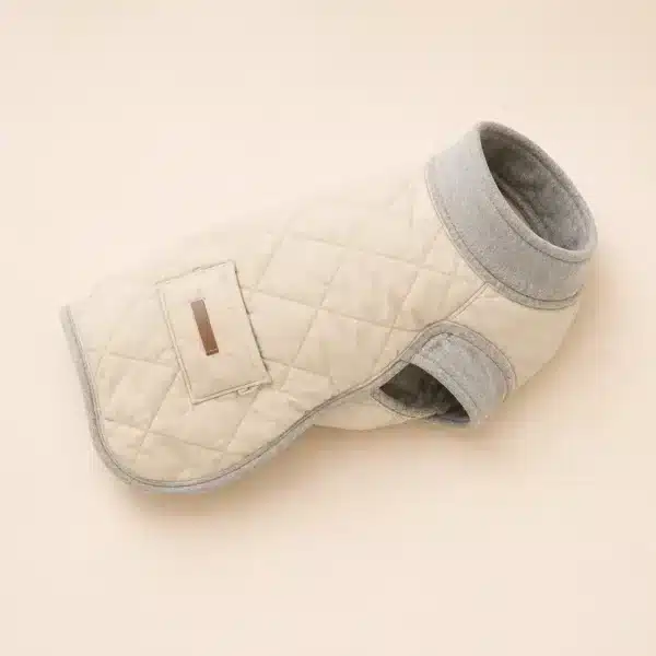 Veste hiver pour teckel