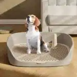 Litière pour petit chien sur terrasse gris 1
