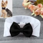 Noeud papillon chien mariage 1