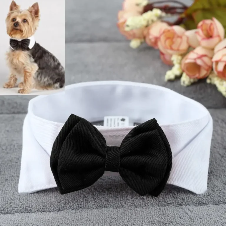 Noeud papillon chien mariage 1