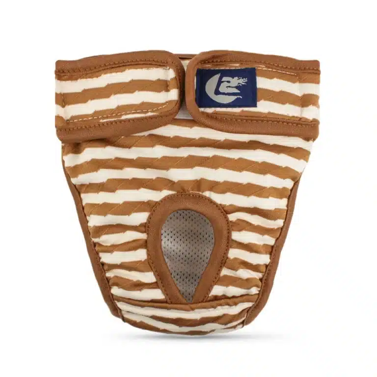 Culotte absorbante pour chien marron et blanc 2