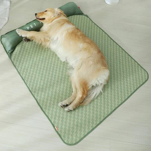 Tapis destressant pour chien