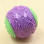 Balle rebondissante violette et vert chien 4