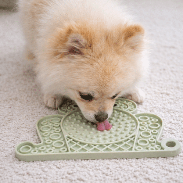 Tapis de léchage grenouille vert pour chien