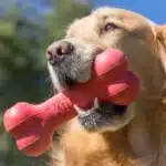 Jouet pour chien KONG os rouge 3