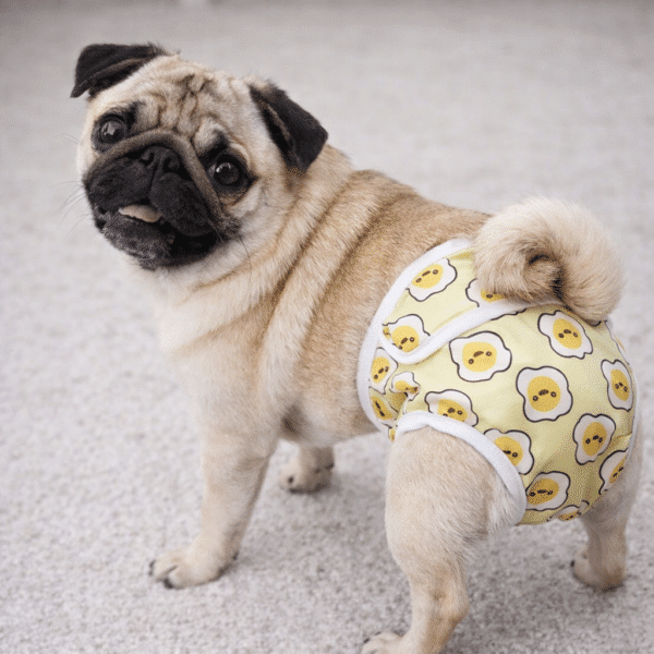 Couches smiley jaune pour chienne