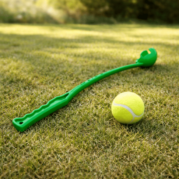 Lanceur de balle vert pour chien