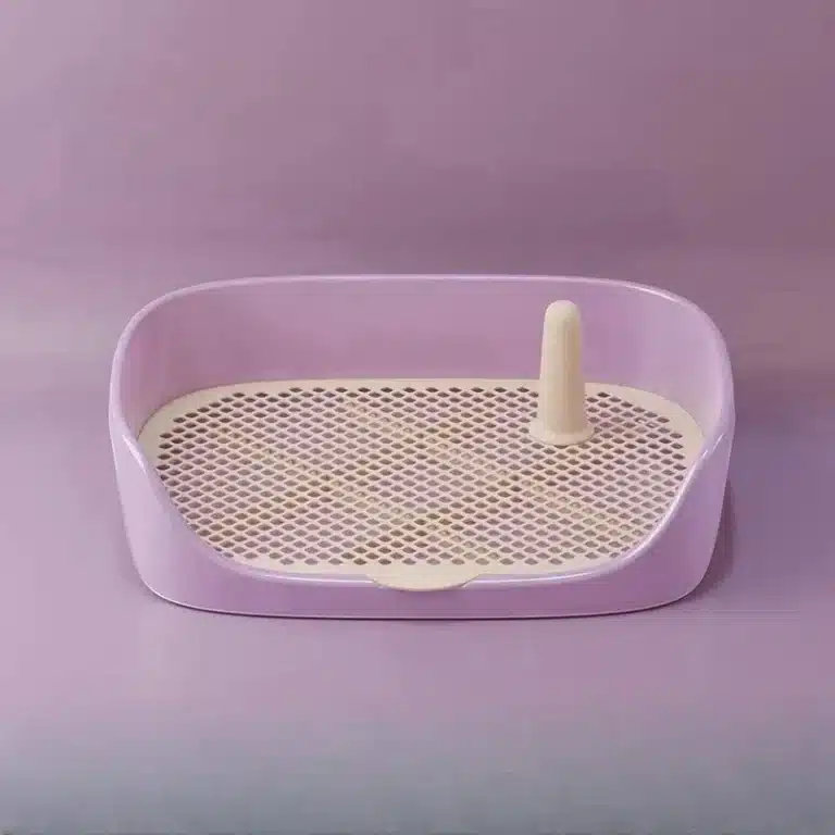 Litière pour petit chien sur terrasse violette 2