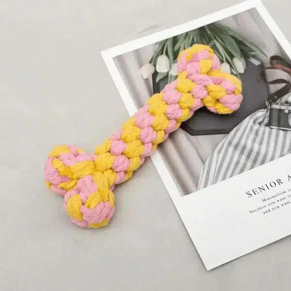 Jouet en corde os pour chien