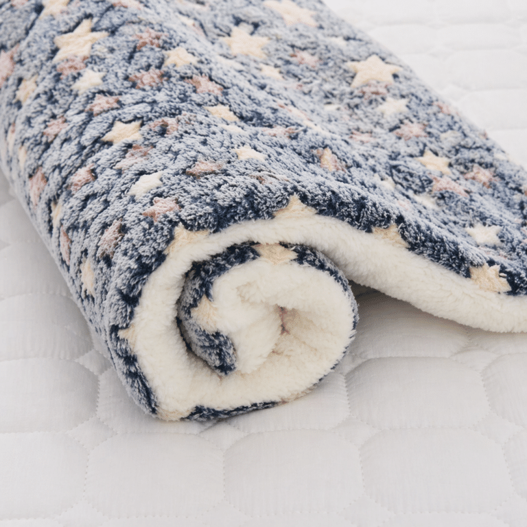 6fcfe5cb-1aa2-430a-8924-fbb098b1ce3c