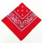 Bandanna chien personnalisé 5