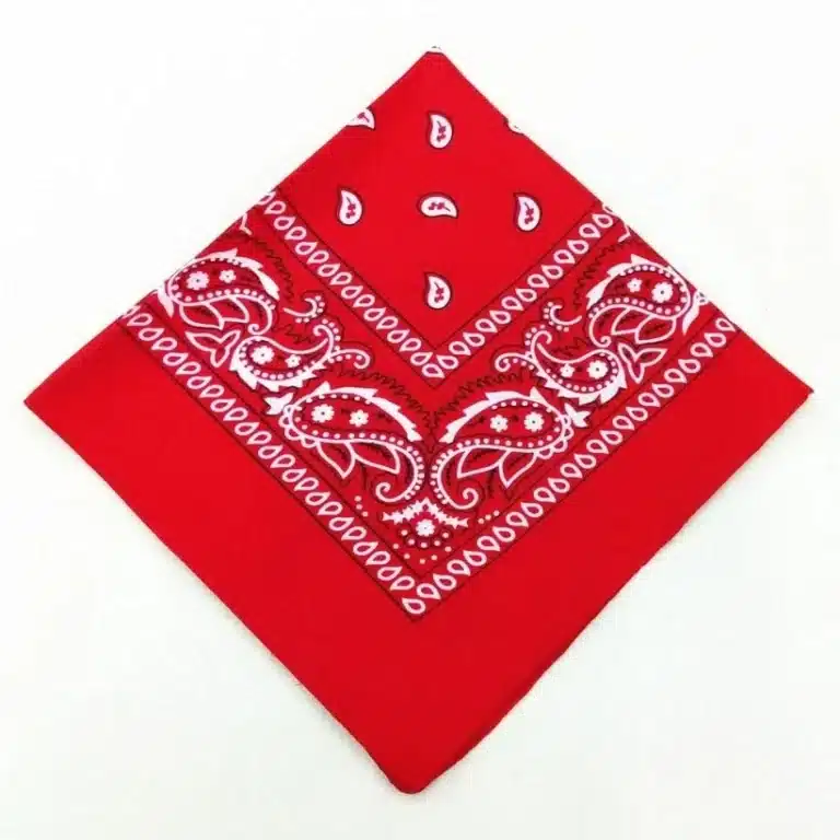 Bandanna chien personnalisé 5