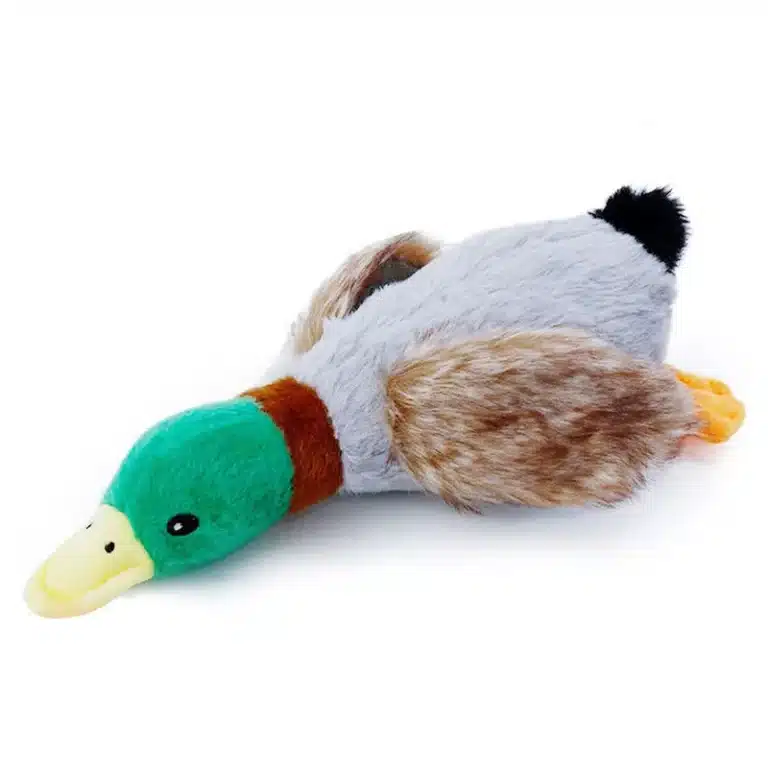 Peluche canard pour chien 2