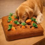 ChatGPT Image 1 févr. 2026, 19_34_09