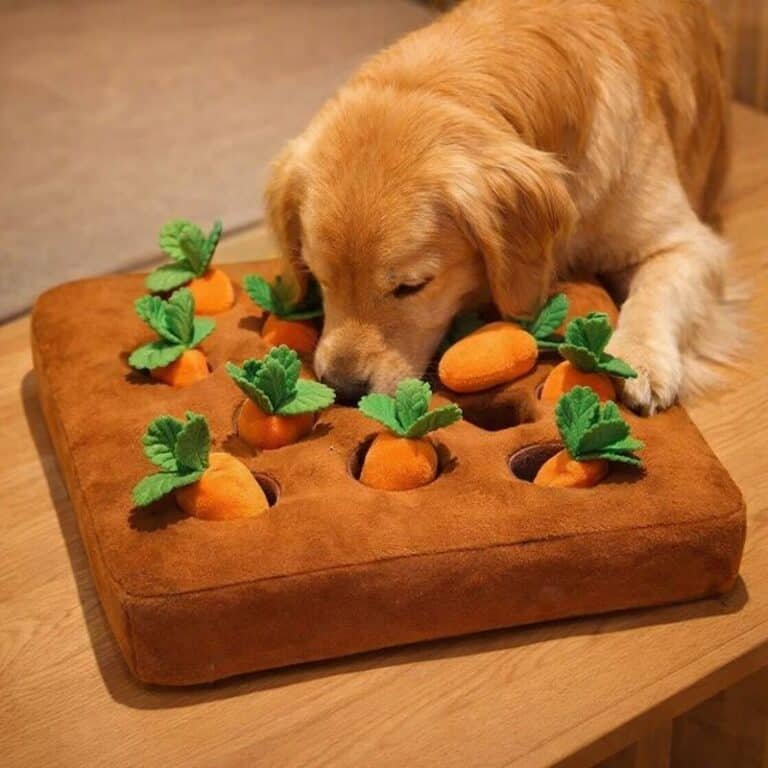 ChatGPT Image 1 févr. 2026, 19_34_09