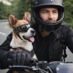 ChatGPT Image 1 févr. 2026, 21_38_03