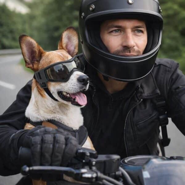 Lunette de protection pour petit chien