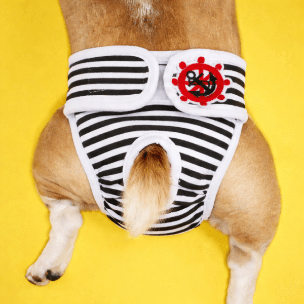 Culotte absorbante pour chien rayé noir et blanc
