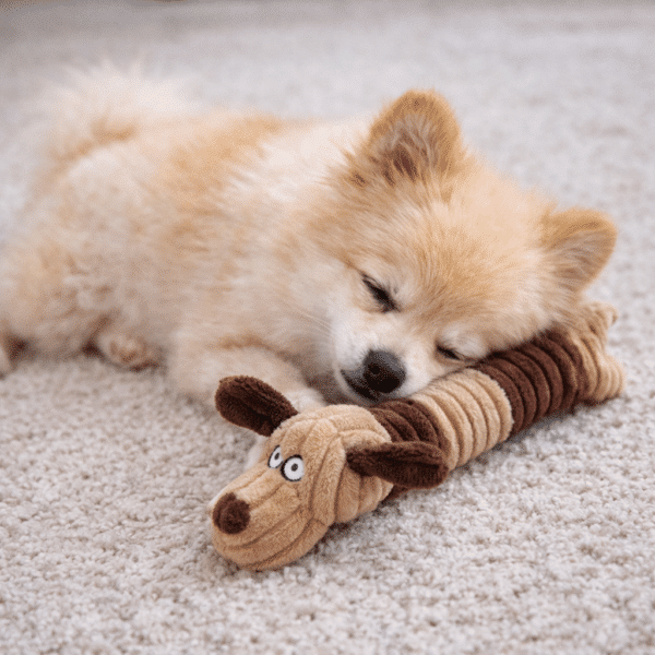 Jouets à mâcher en peluche marron et beige