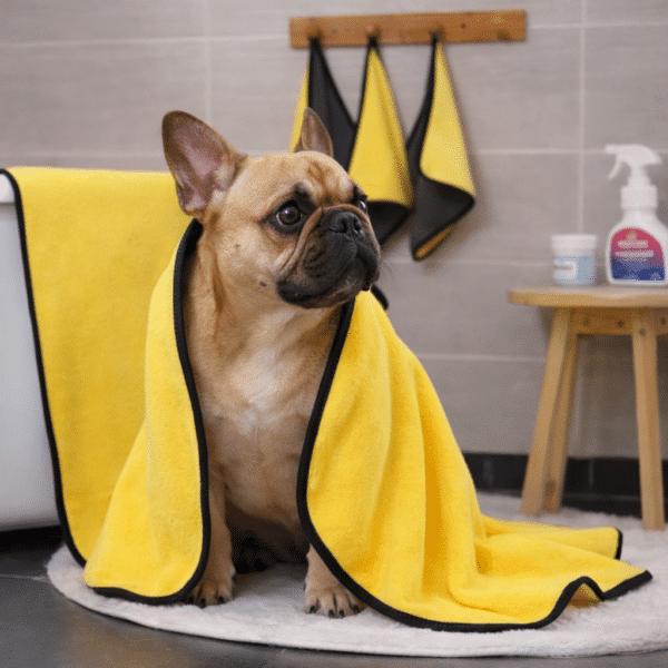 Serviette absorbante pour chien