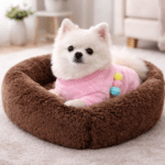 ChatGPT Image 4 mars 2026, 19_45_43