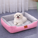 ChatGPT Image 8 mars 2026, 13_46_01