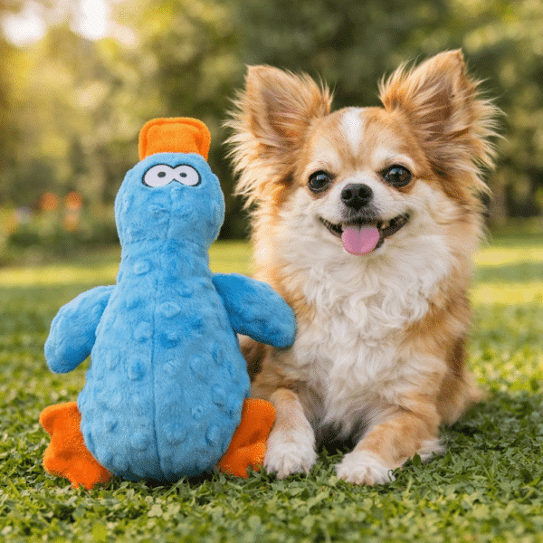 Peluche canard bleu pour chien