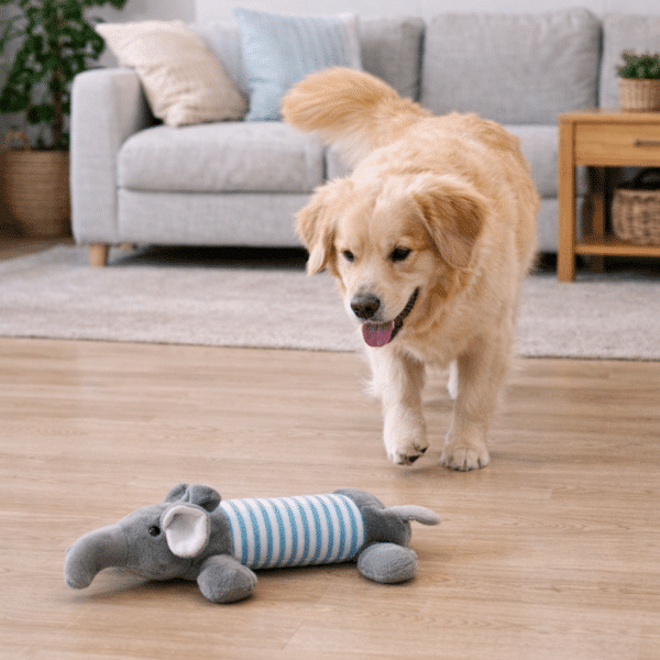 Peluche éléphant long pour chien