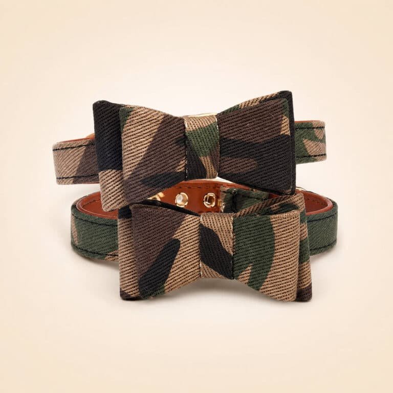Collier Noeud Papillon Militaire Chien