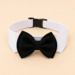 Noeud papillon chien mariage