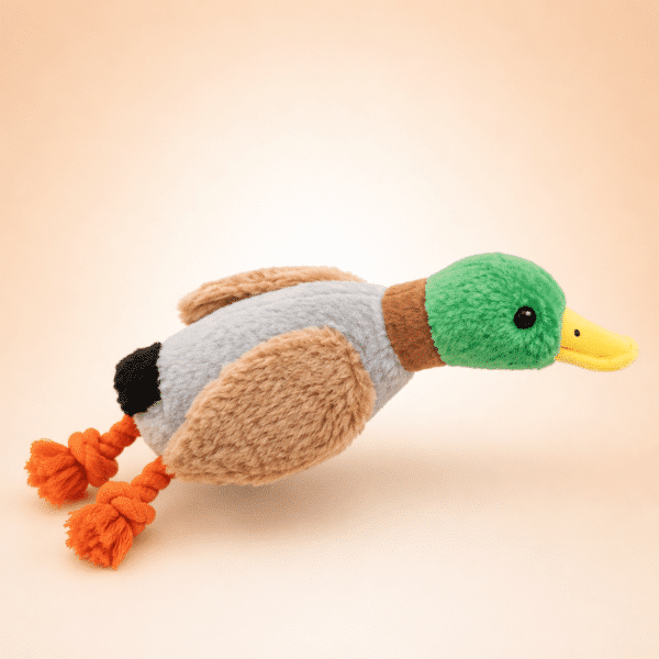 Peluche canard pour chien