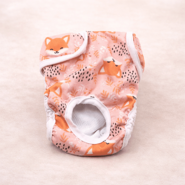 Couches orange pour chienne