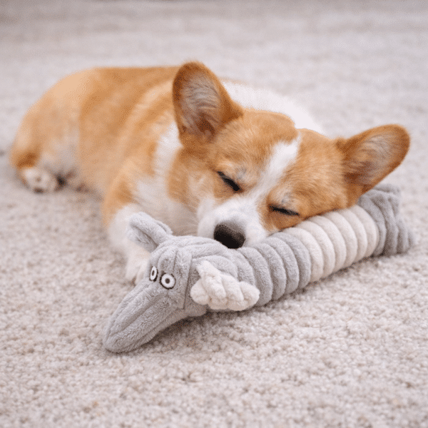 Jouets à mâcher en peluche gris et blanc