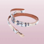 dog_leash_blue-removebg-preview