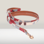 dog_leash_red-removebg-preview