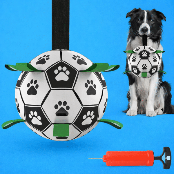 Ballon avec anse pour chien