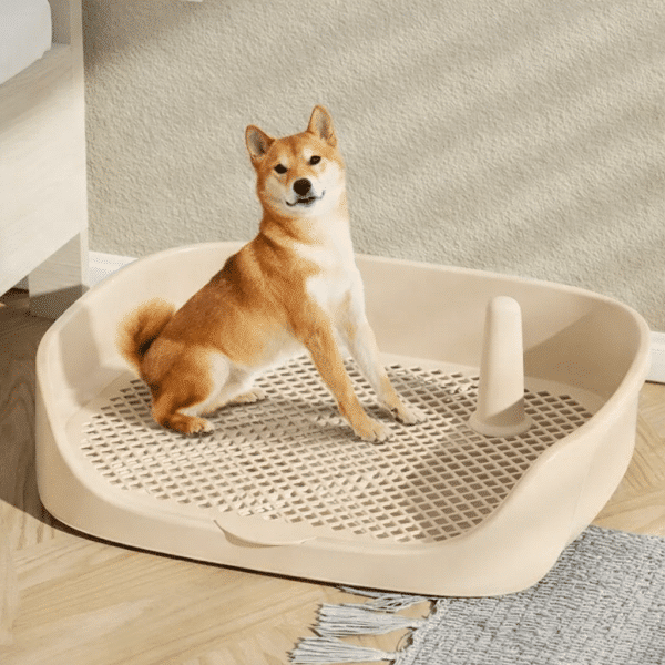 Litière pour petit chien sur terrasse blanc